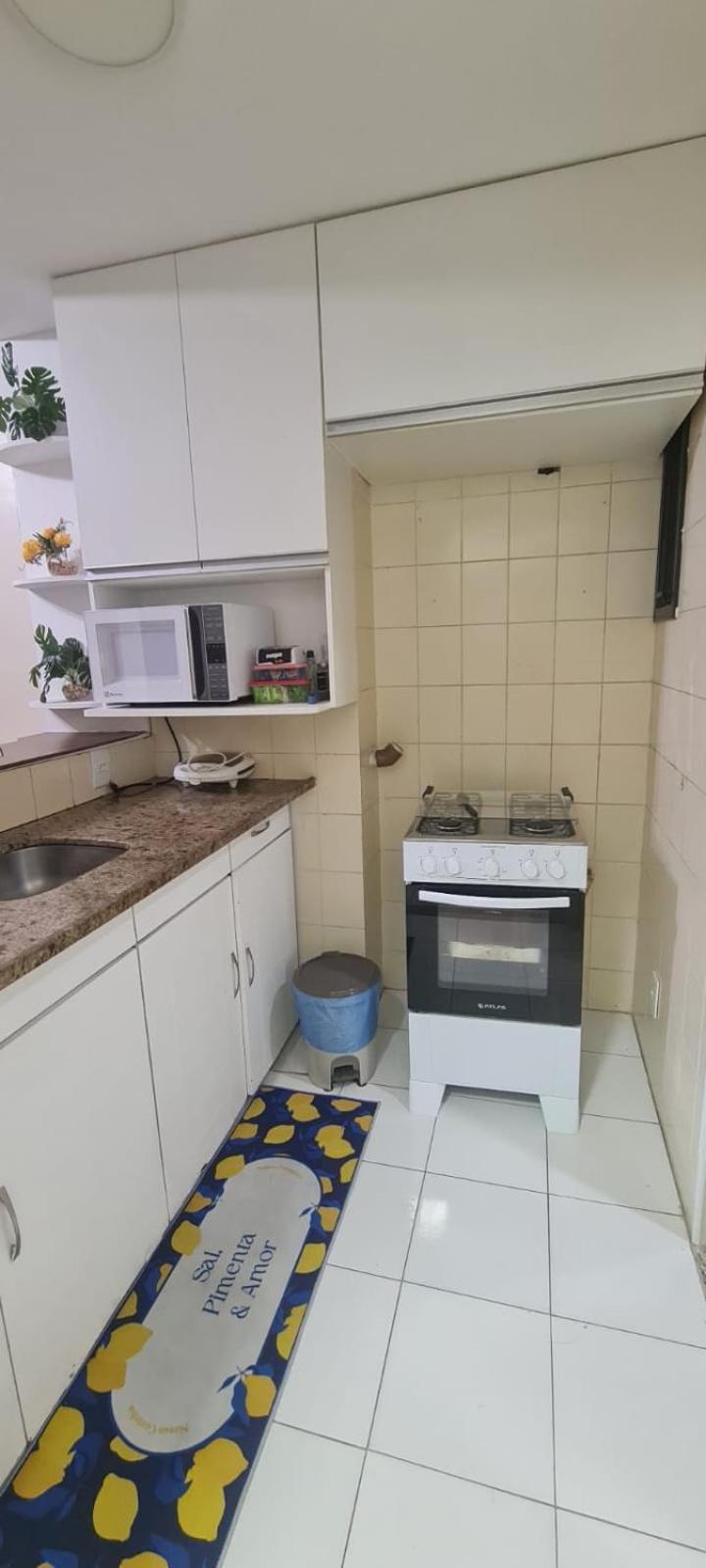 Flat Com Vista Teatro Amazonas Apartment มาเนาส์ ภายนอก รูปภาพ